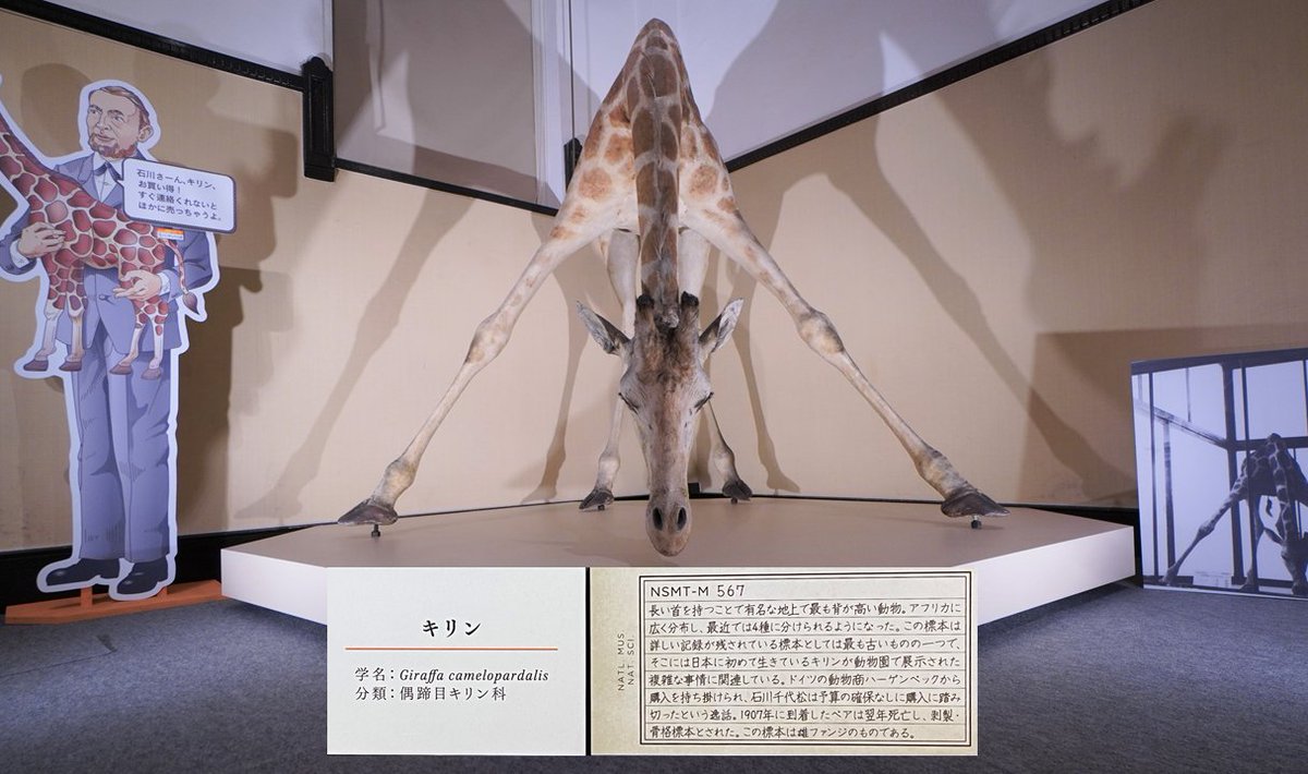 🦒・‥━━━🌿 今日は #世界キリンの日 🌿━━━・‥🦒 現在開催中の