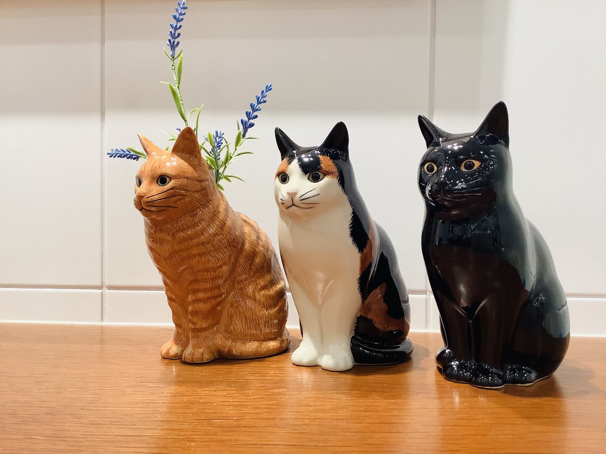 2/22 ネコの日に合わせてネコのアイテムを揃えいています！ Quail