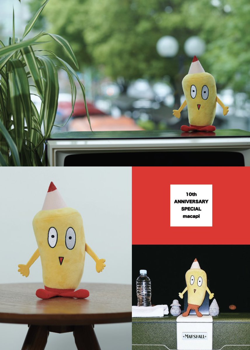 ぬいぐるみまかぴー君／／ 数量限定販売決定‼️🎁✨ マカロニえんぴつ