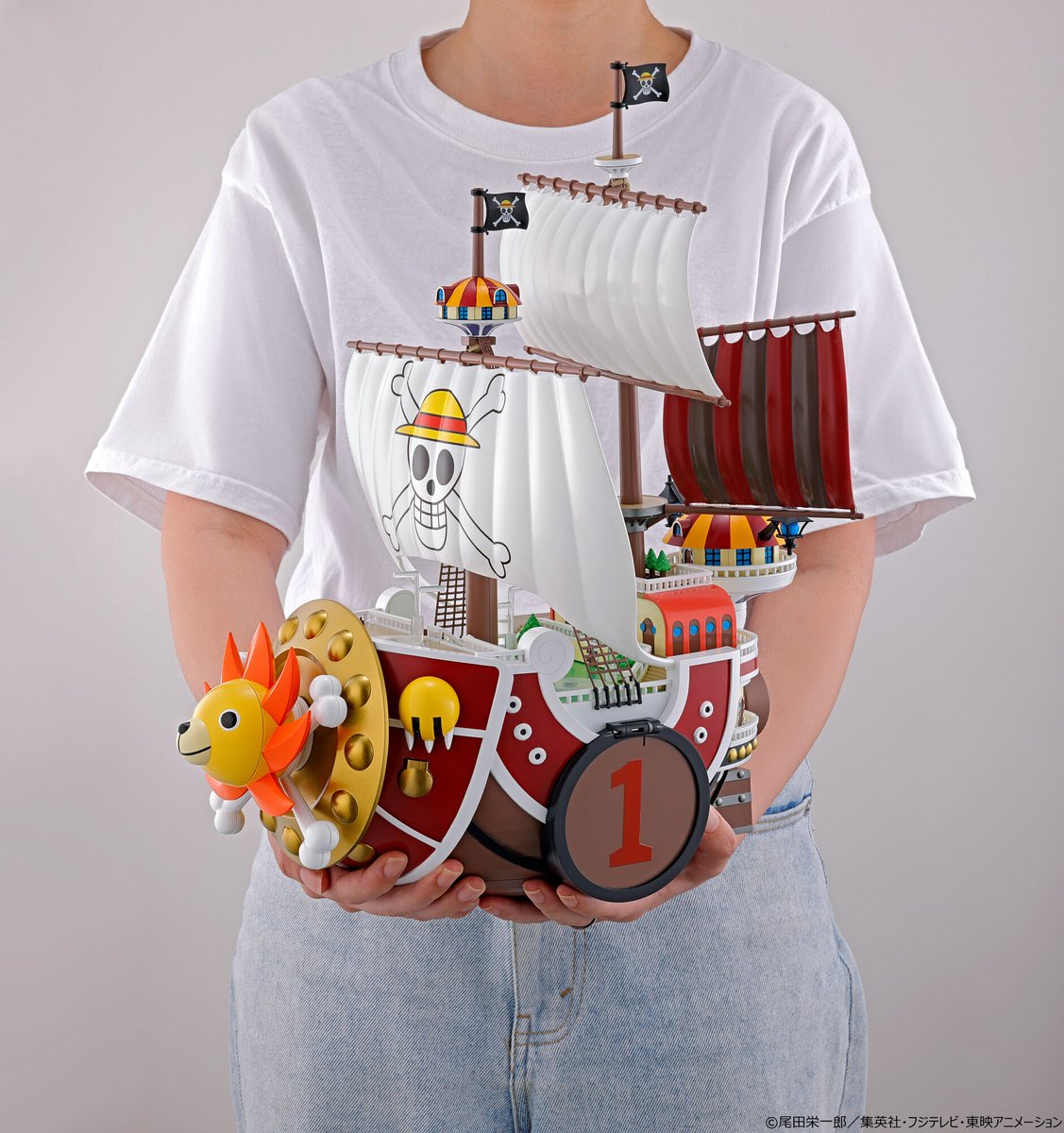 From TV animation ONE PIECE ワンピの実 サウザンド・サニー号