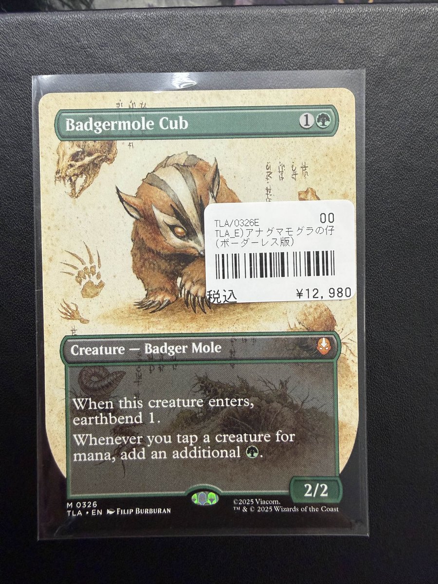 193 名駅 MTG 入荷情報】 最新弾 『アバター 伝説の少年アン』 で話題