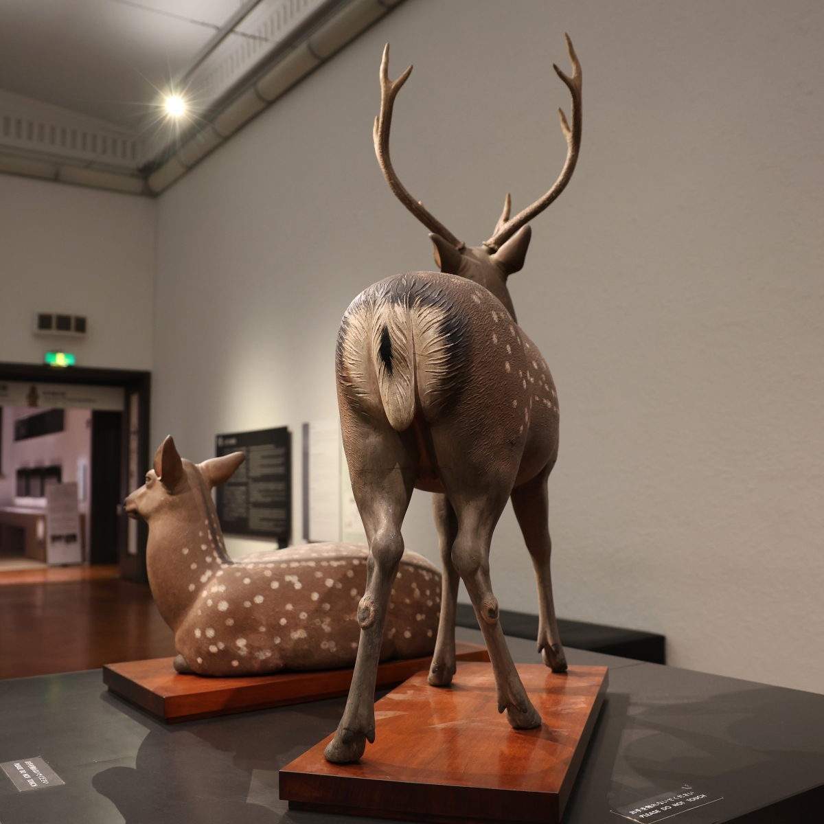 作品紹介】 #森川杜園 (もりかわとえん)によるメスとオスの #鹿 の