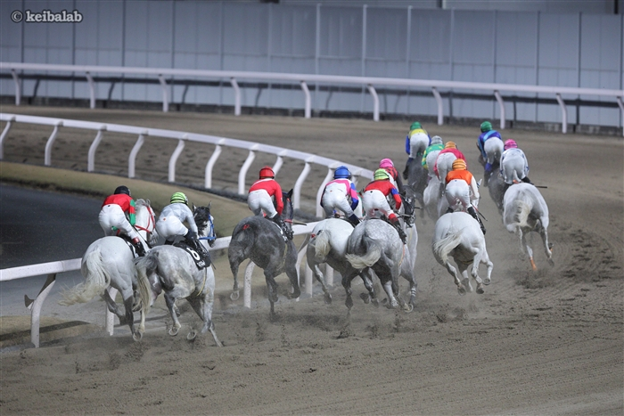 あなたの好きな白は何色ですか？】 本日の川崎競馬場では、恒例の白毛