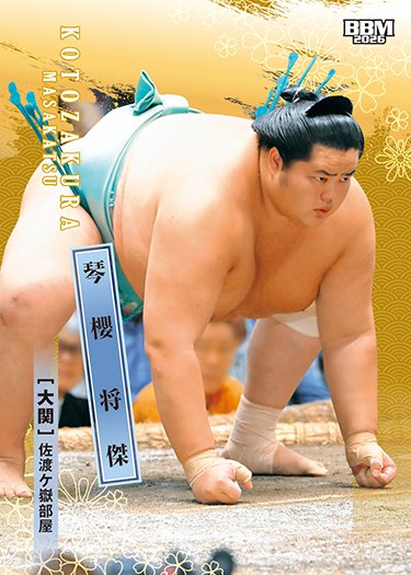 新品未開封2BOXセット　SumoCards 大相撲カード BBM2026