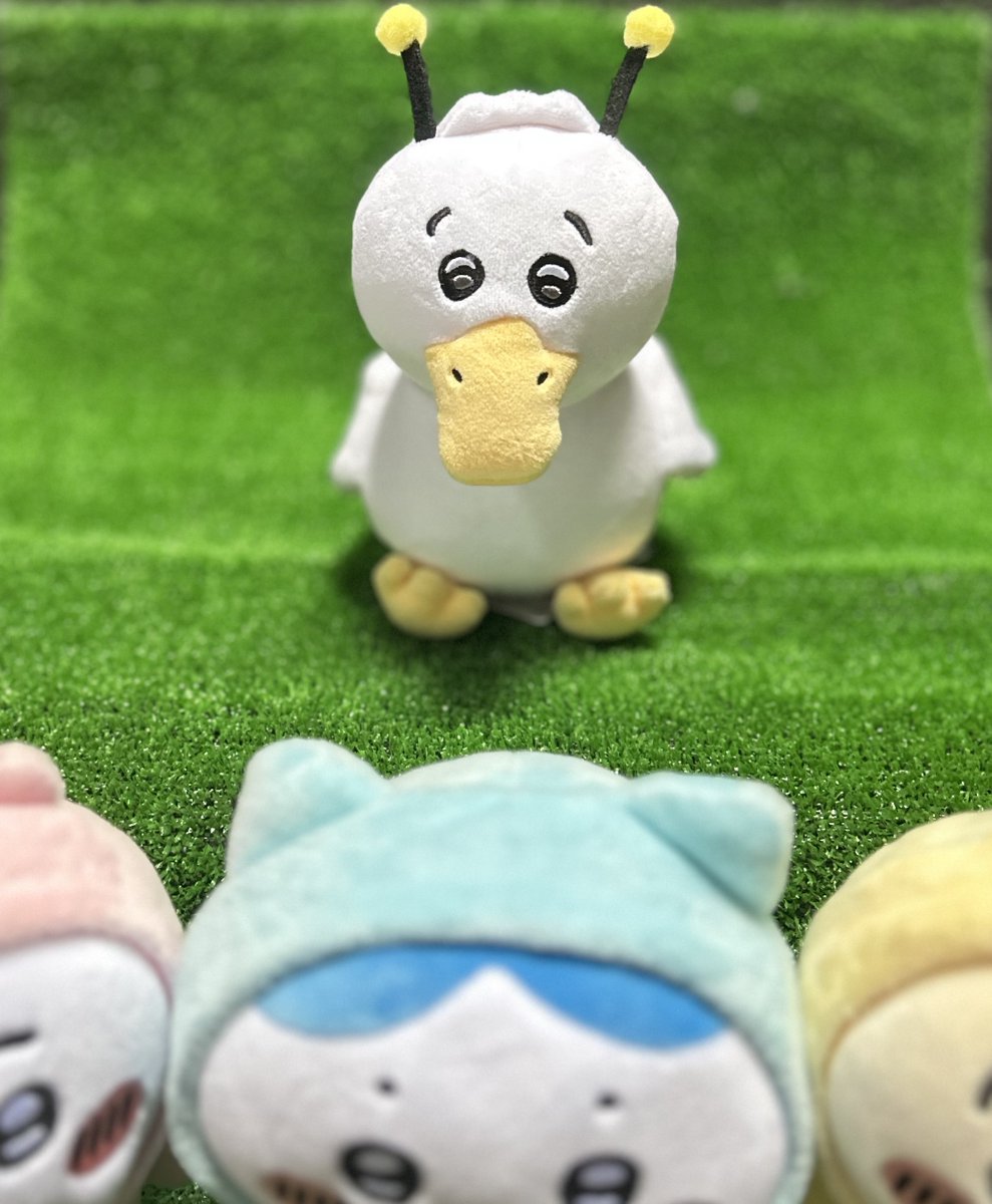 ちいかわらんど原宿店 🧸新商品のご案内🧸 ぽてたまぬいぐるみの新商品