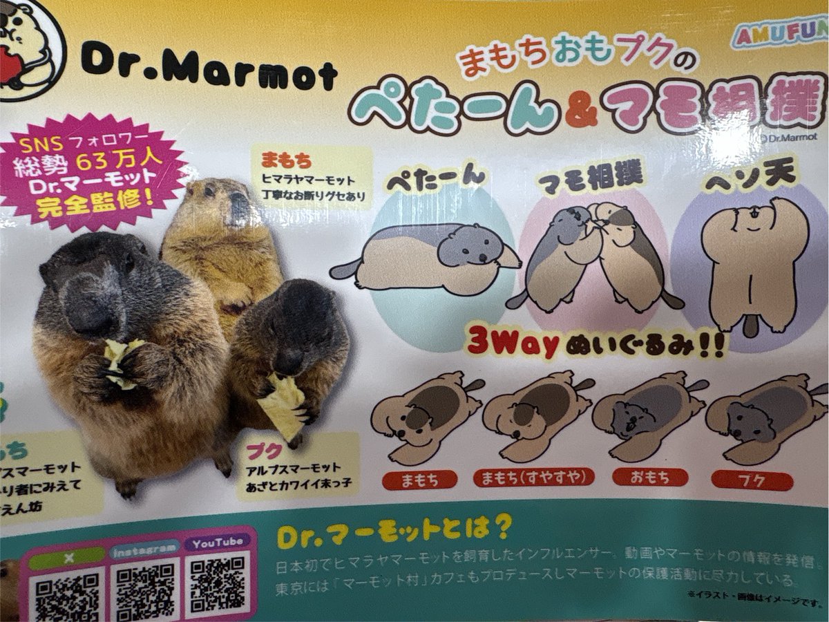 プライズ 情報】 「Dr.マーモットまもちおもプクのぺたーん＆マモ相撲