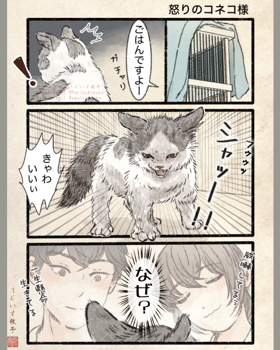 ネコの本。2巻まとめッーーー！！ 01