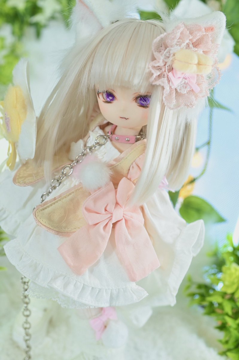 Imomodoll【公式】 (@ImomoDoll) / Posts / X