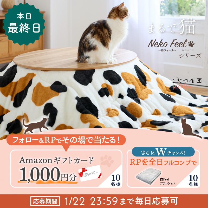 猫Feel毎日参加キャンペーン♪最終日 10名様にAmazonギフトカード1,000