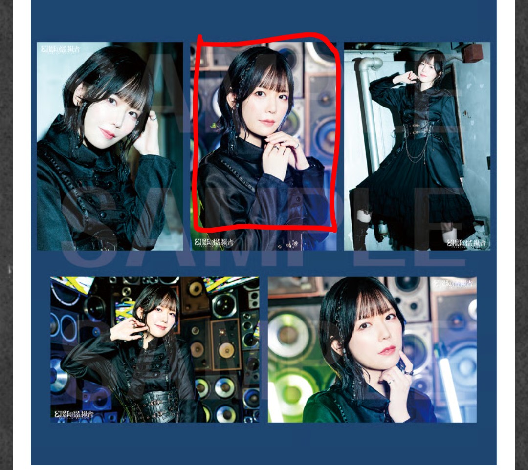 交換、購入】 幻影の監視者 ブロマイド 求:画像の赤枠もの(和久井優