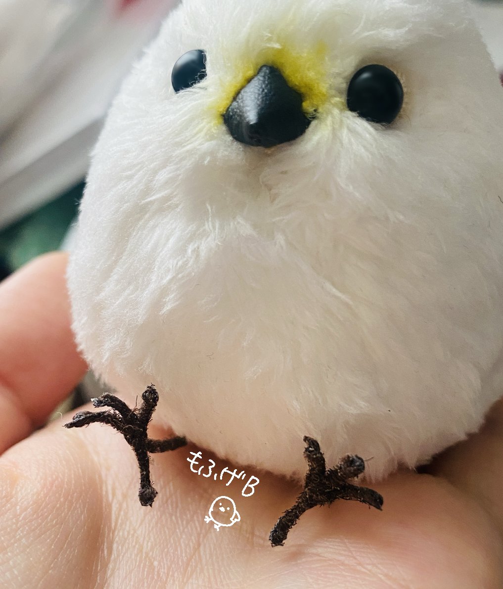 もふげB (@mocchi_kitchen) / Posts / X