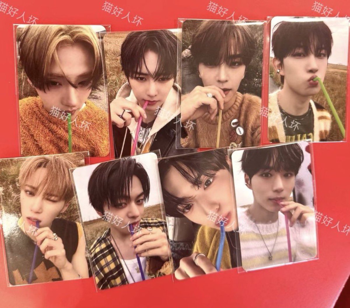 ALD1 euphoria oliveyoung 特典トレカ ジシンロン ALPHA DRIVE ONE