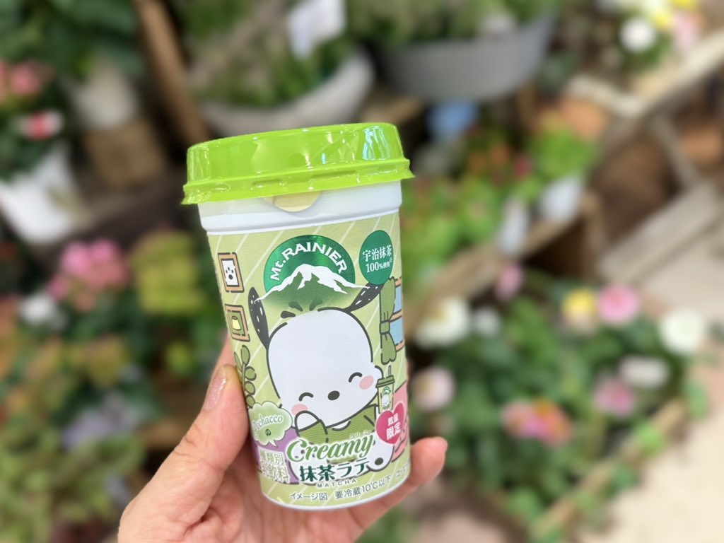数量限定・サンリオキャラクターズコラボパッケージ🌿 マウント