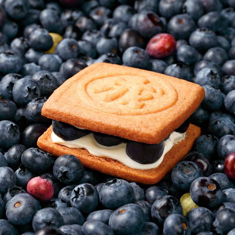 旭川地区の六花亭からお知らせ 生のブルーベリーをバタークリームでは