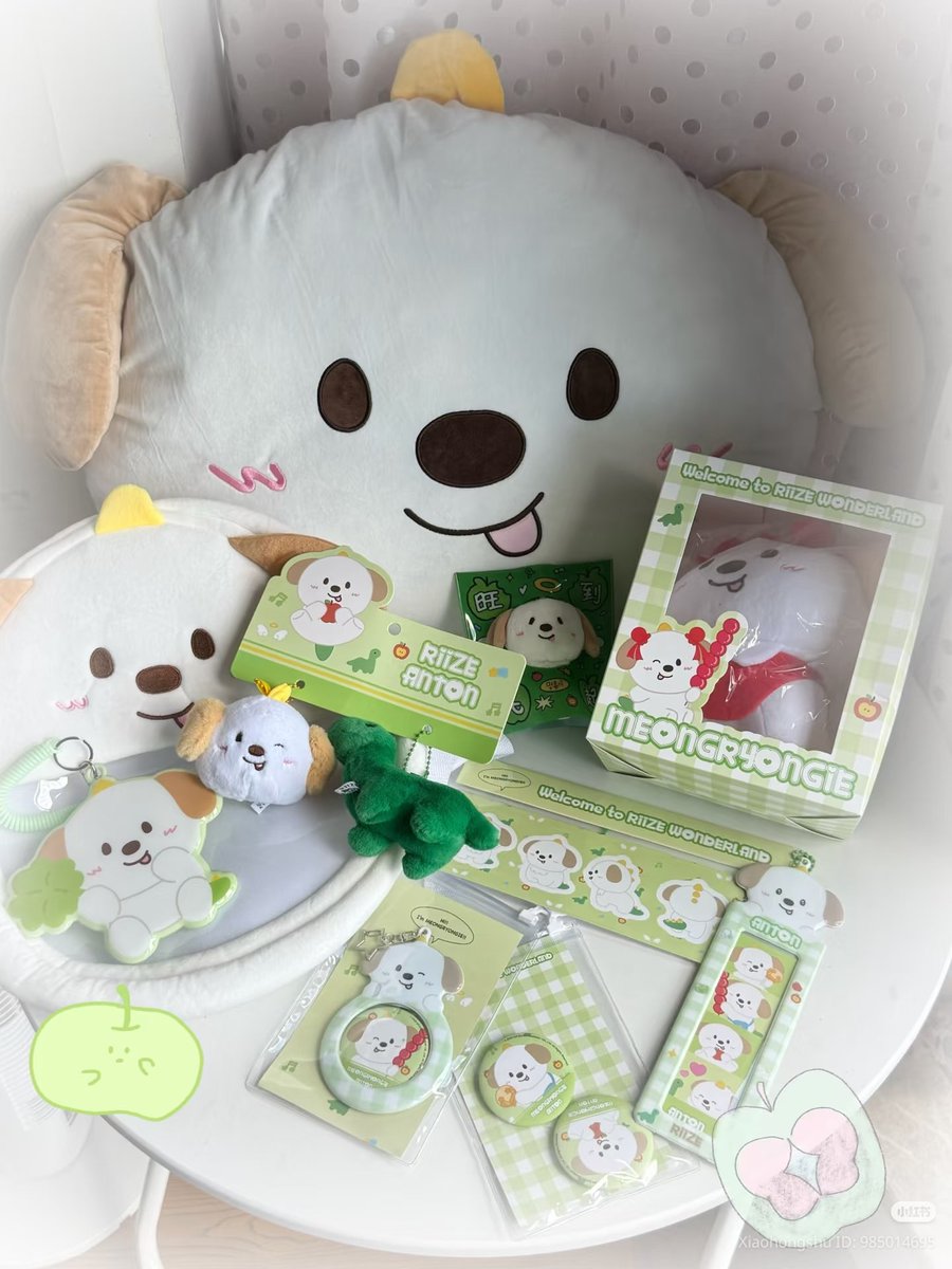 RIIZE WONDERLAND POP-UP IN SHANGHAI MEONGRYONGIE #ANTON Cushion