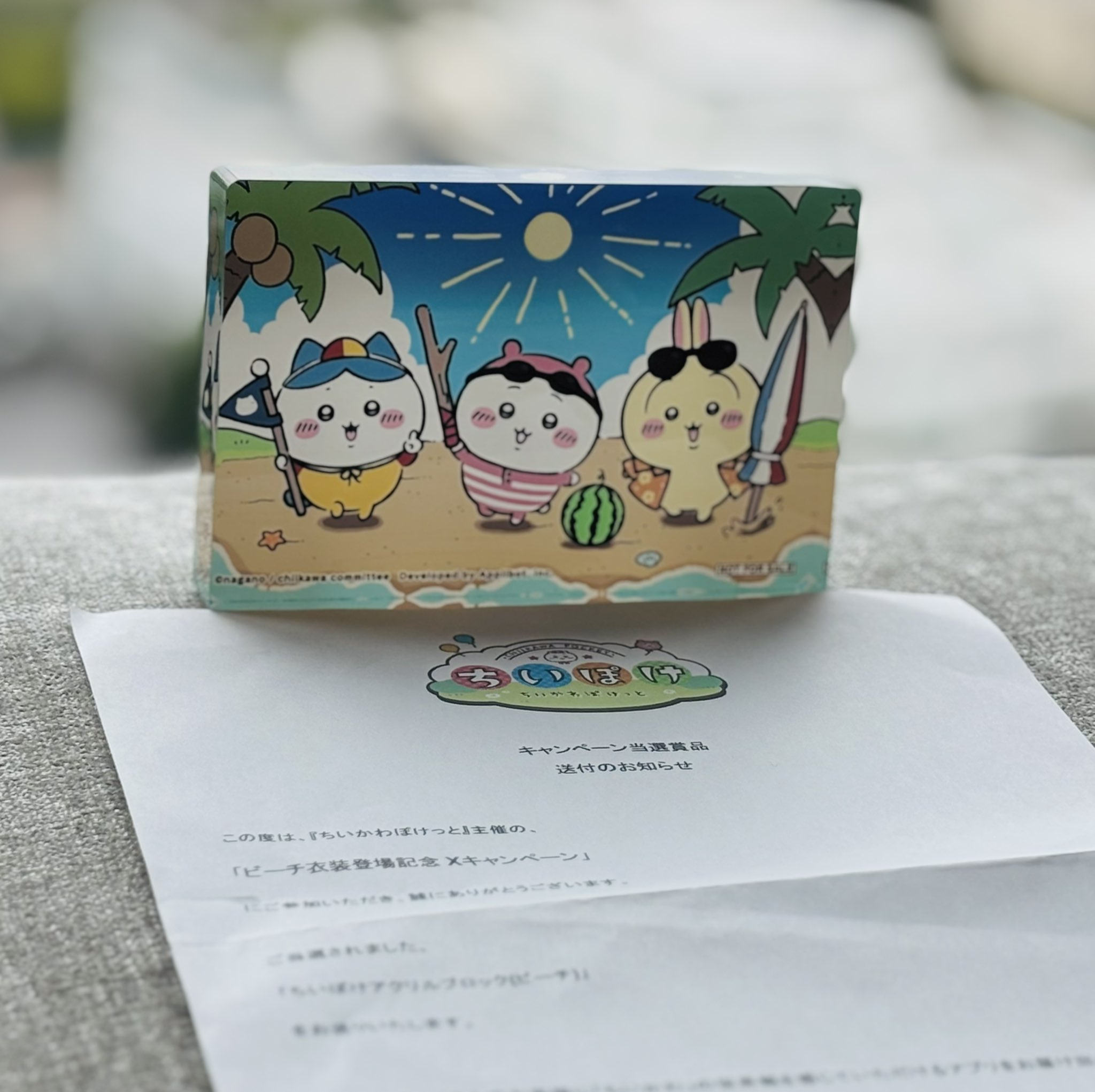 ちいぽけ アクリルブロック フルーツ衣装 非売品 キャンペーン当選品