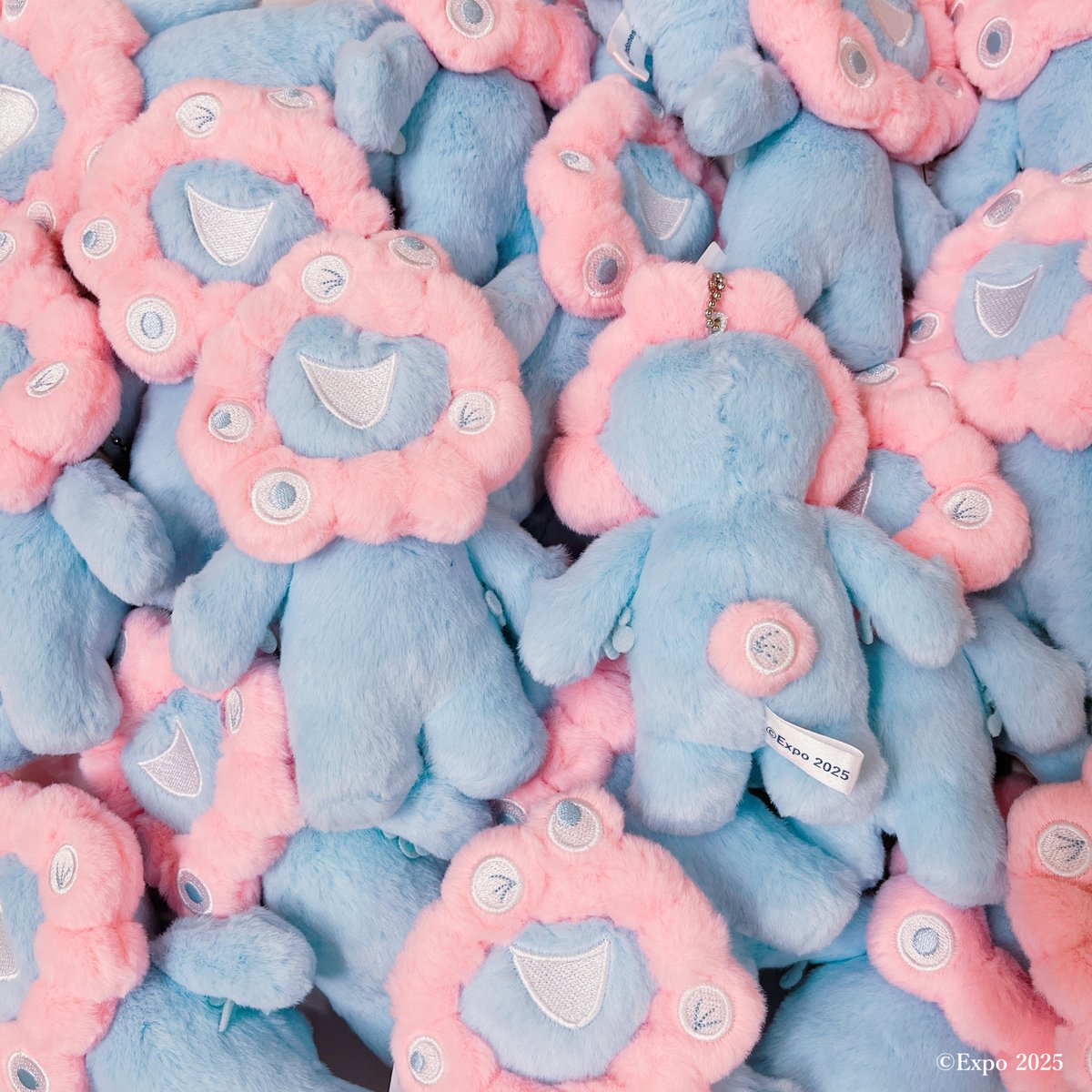 東ゲート店 MARUZEN JUNKUDO 🕘9/13(土)開店しました #EXPO2025