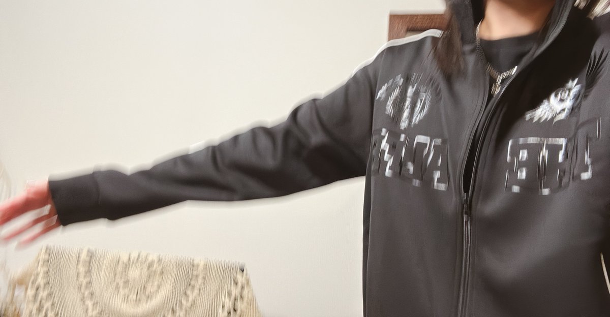 THE ALFEE 秋ツアーグッズ ジャージLsize THE ALFEE 秋ツアーグッズ