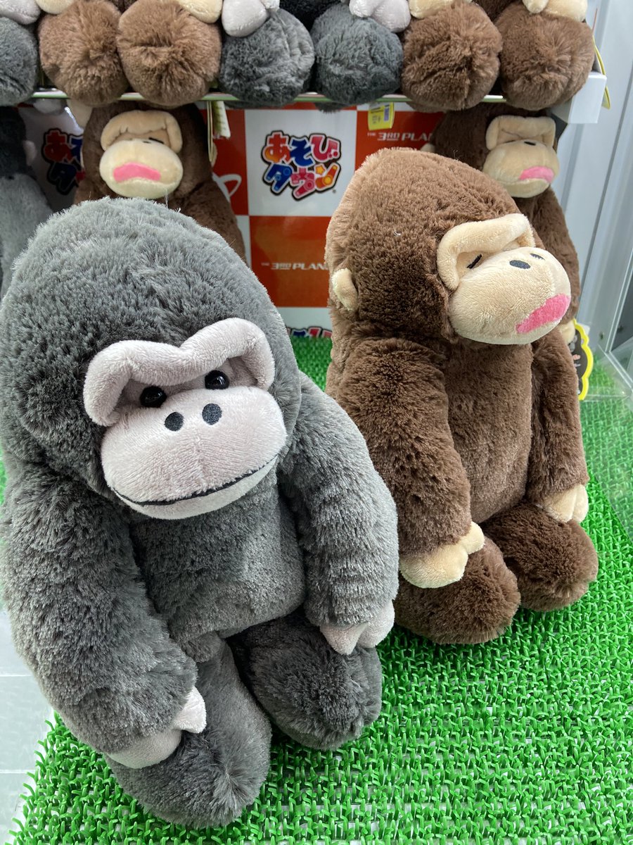 ✨新入荷景品のお知らせ✨ 『ウホウホゴリラのゴリくん 正座