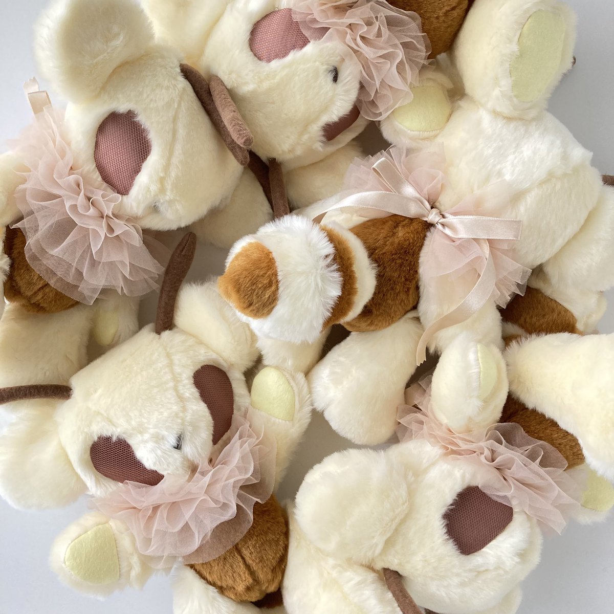 こっちみんなむし (@minna130) / Posts / X