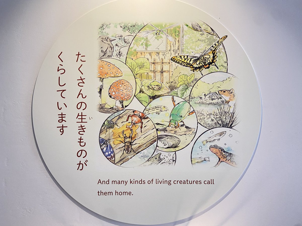 わくわく・はじまりの森の「ふくしま・いろんな生きものトンネル」では