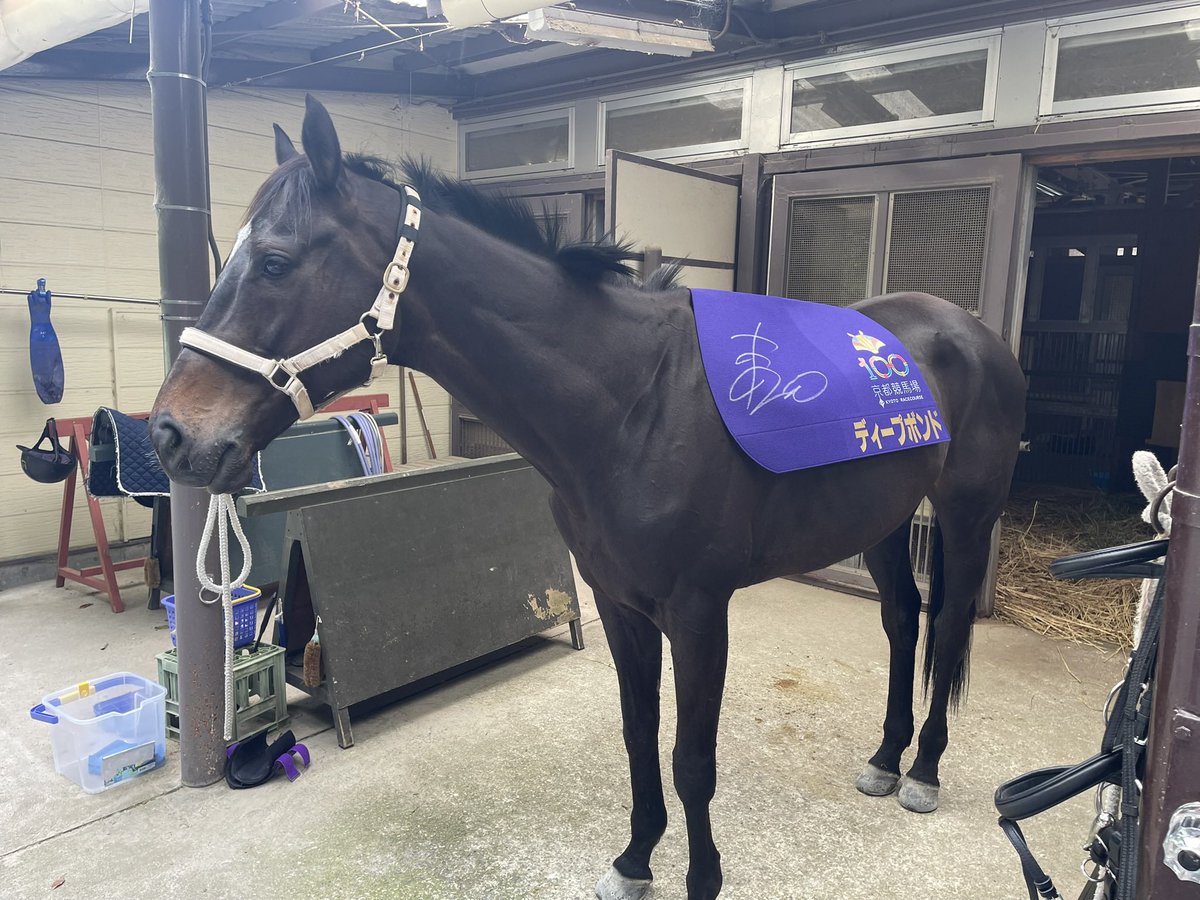 🎁#京都競馬場 100周年プレゼント企画🎁 本年度から新しく京都競馬場の