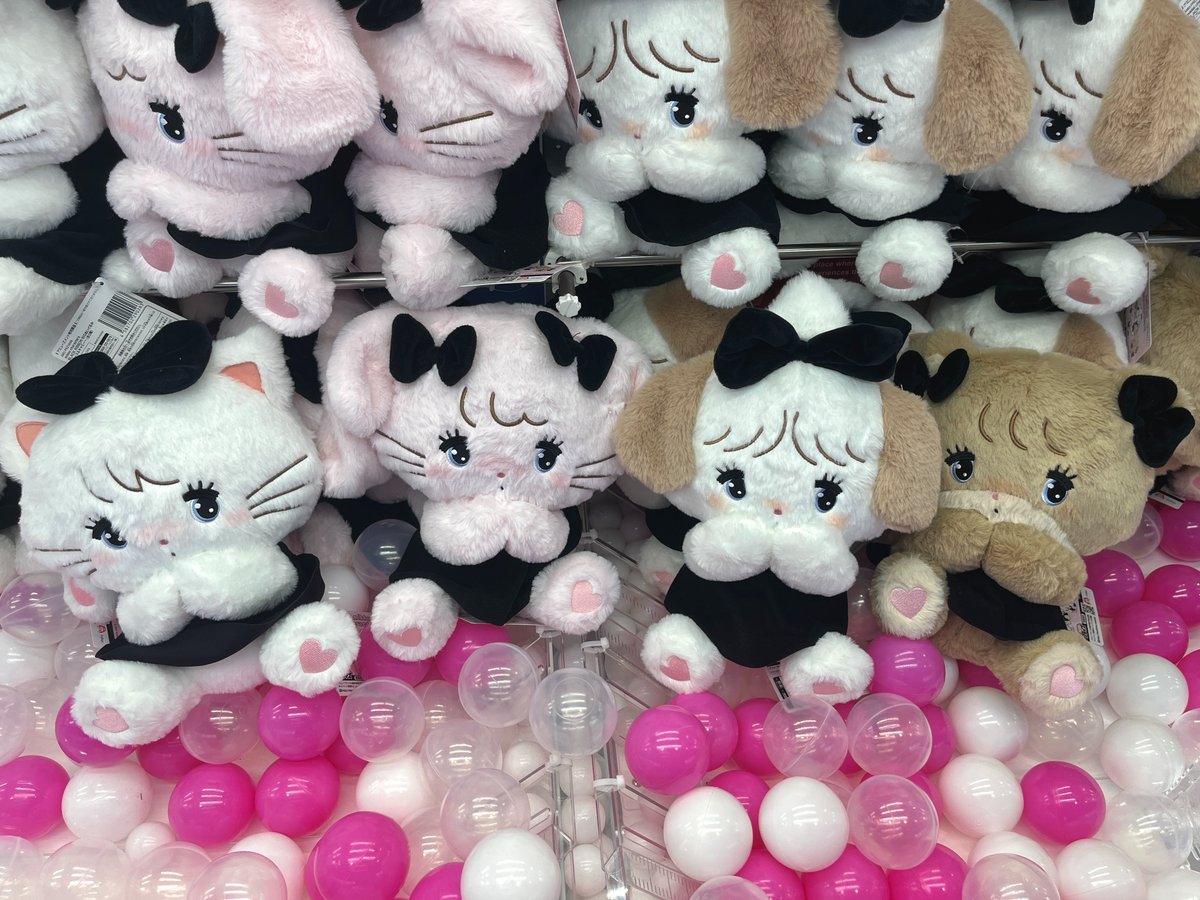 💙1F 景品情報💙 🎀mikko characters BLACK RIBBON BIGぬいぐるみ