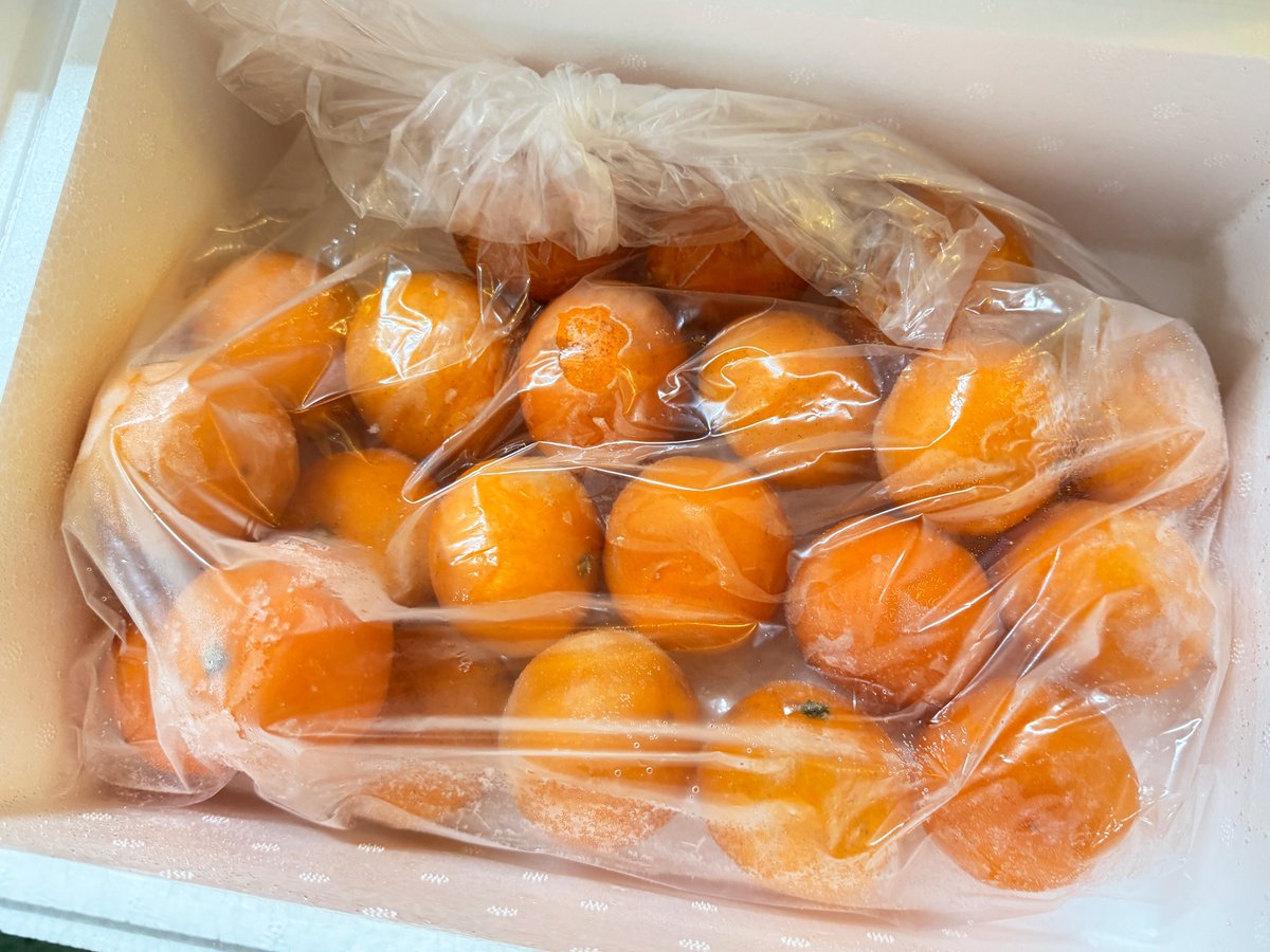 チビ太 (@chibita_a) / Posts / X