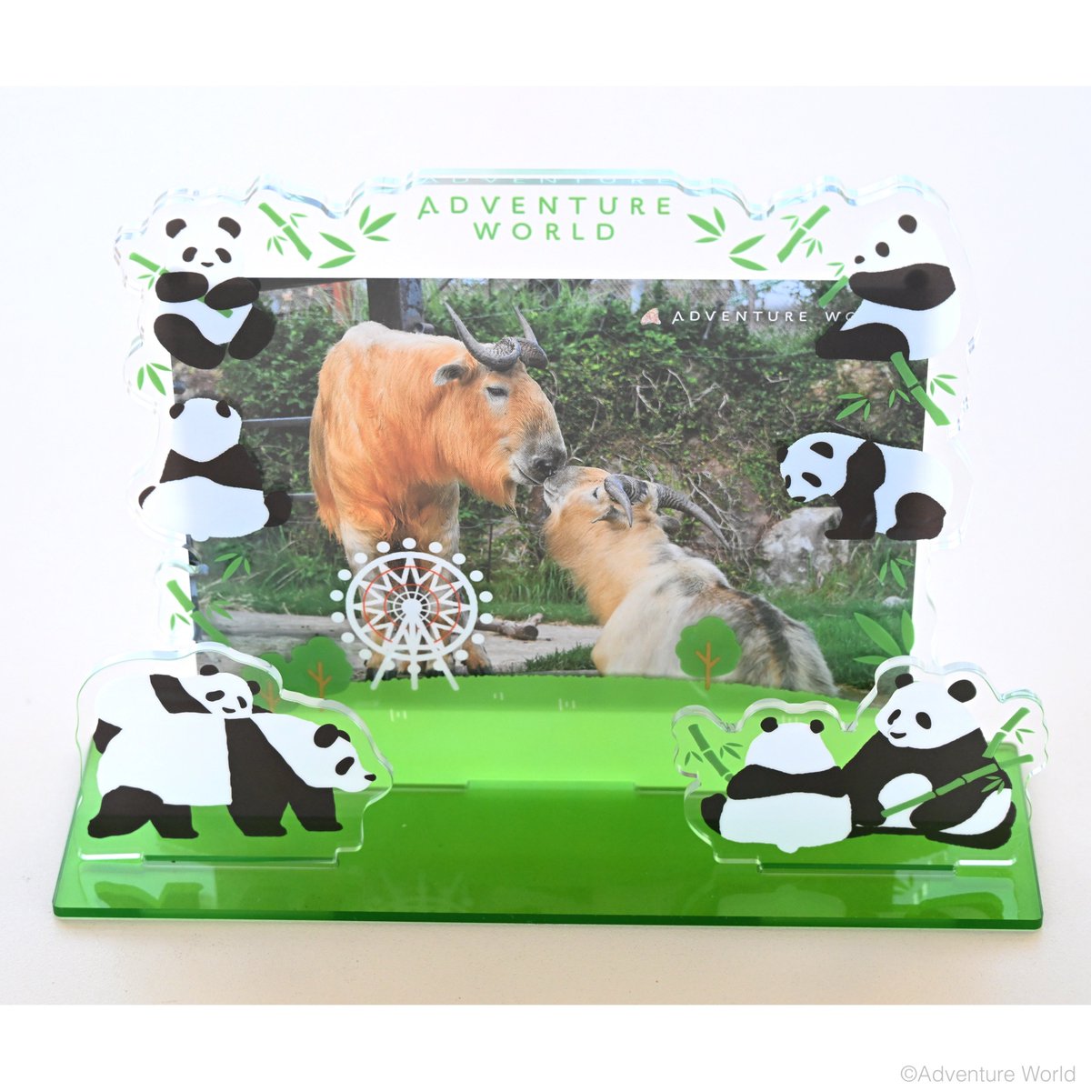 お気に入りの写真をパンダで囲んじゃおう！／ アクリル素材でできた