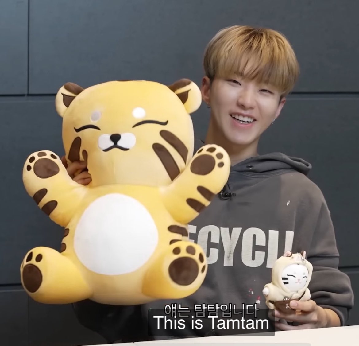 ホシくんのアーティストメイド ఇ ◝‿◜ ఇ♡ タムタム可愛い〜♡ それ