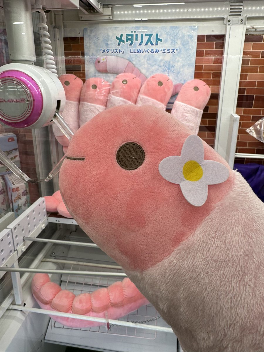 メダリストのミミズぬいぐるみ、キャッチャーでゲットできました