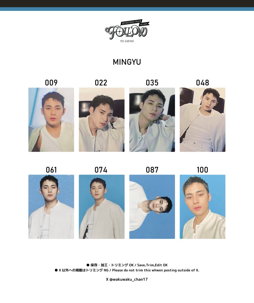 SEVENTEEN TOUR [FOLLOW] AGAIN TO JAPAN PHOTO CARD ◇ THE8