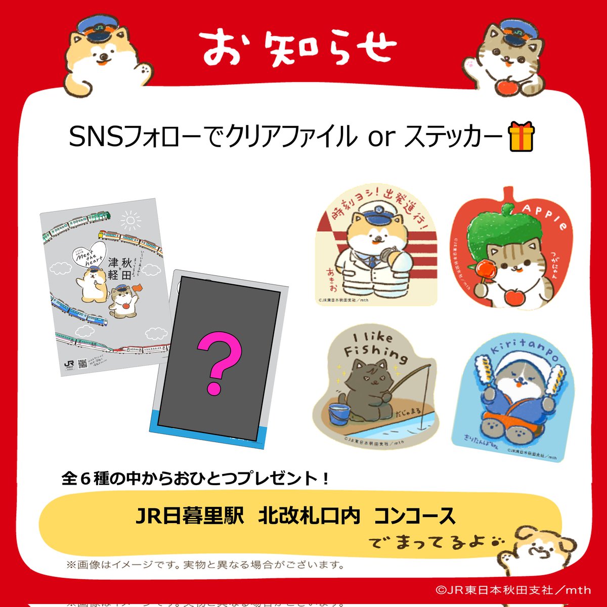 こんにちワン🐶ニャン🐈あきおとつがにゃんだよ🐾 明日から日暮里駅で