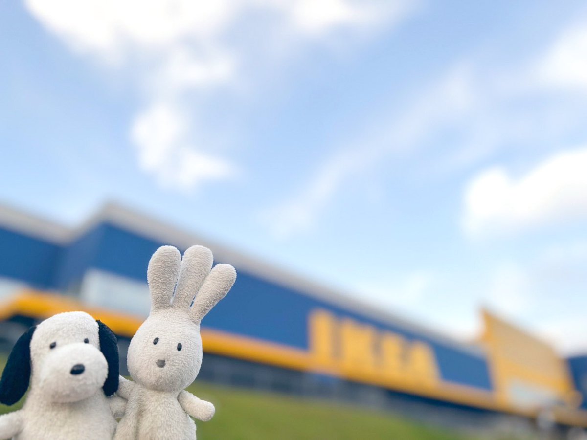 おじぎちゃん (@ojigi_beach) / Posts / X