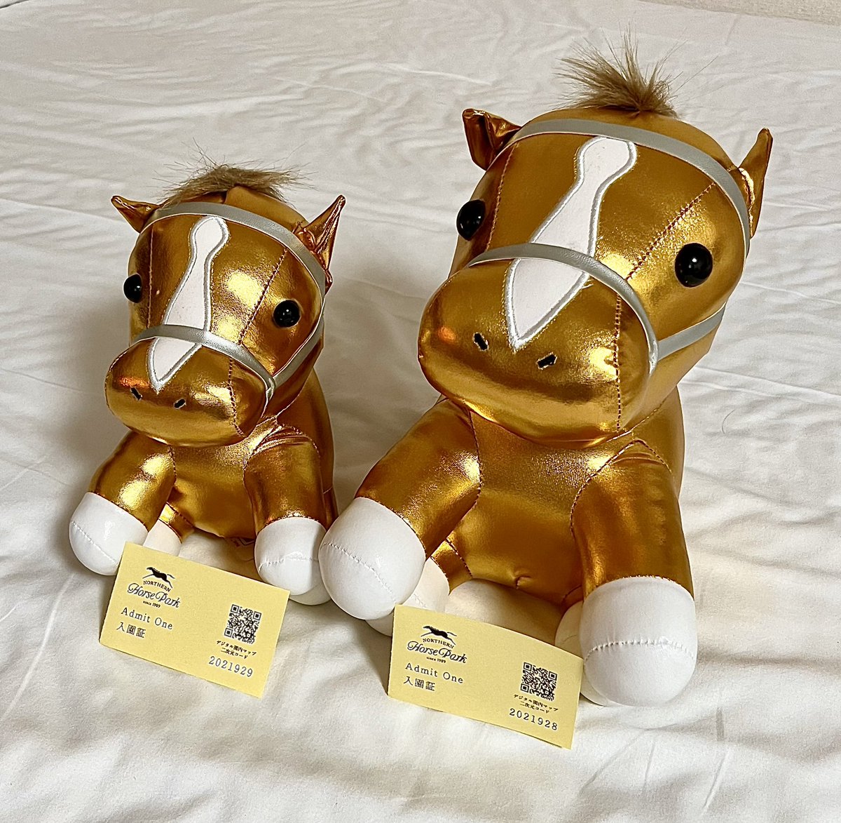 GV5UX_lawAAL-iH.jpg?format=jpg