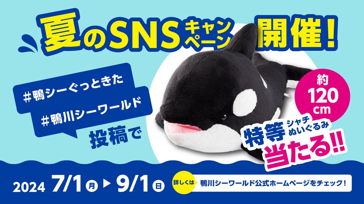 今日は皆さんが当館で購入したお気に入りのぬいぐるみを教えてください