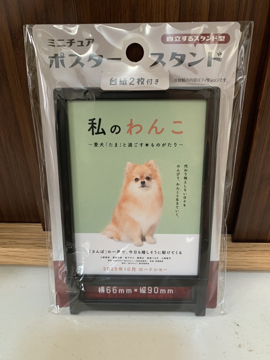 大家〜🐦 seriaやキャンドゥで売ってるこのミニチュアポスタースタンド