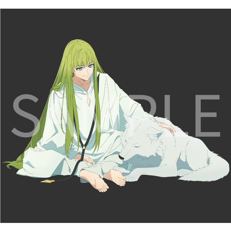 ◤『Fate/#strangefake』 Blu-ray Disc BOX5/27発売◢ Amazon限定購入