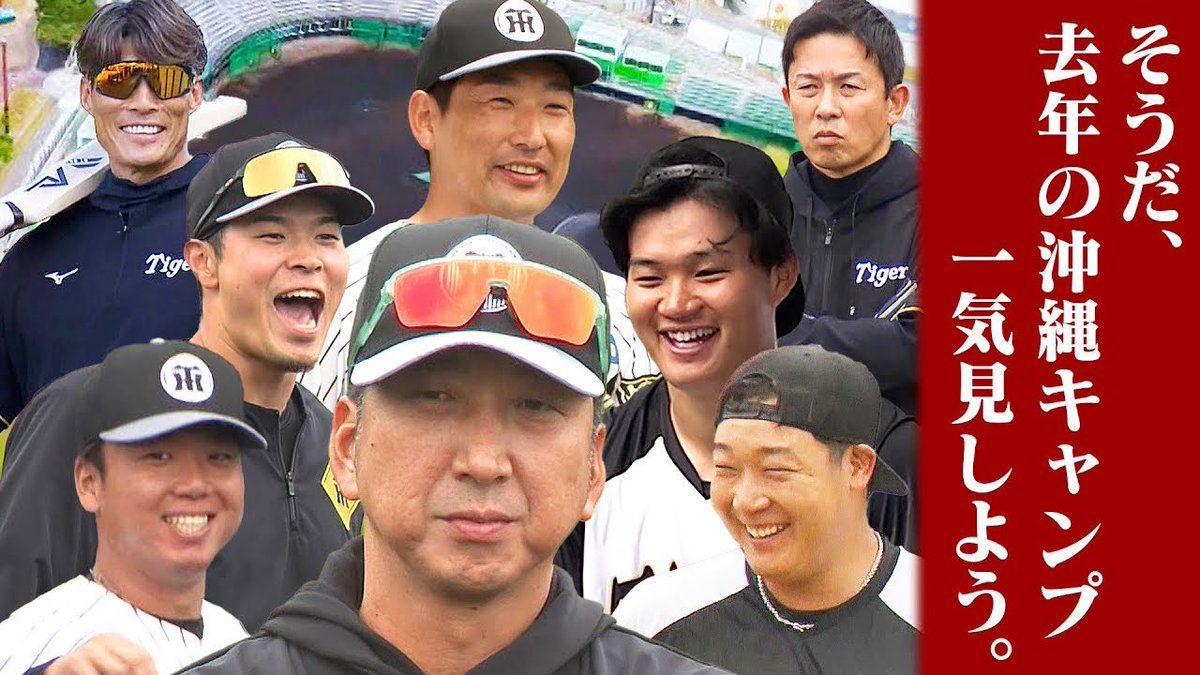 🐯虎バンチャンネル告知🐯】 ╋━━━━━━━ 2025年 春季キャンプ