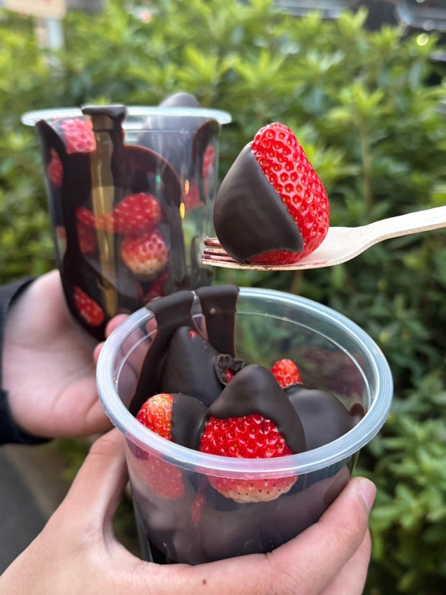 ━━━━━━━━━━━━ このいちごチョコ専門店🍓🍫 ピアリ行ったら