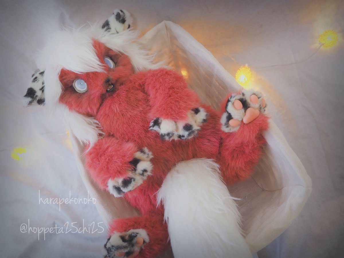 ハラペコ (@hoppeta25chi25) / Posts / X