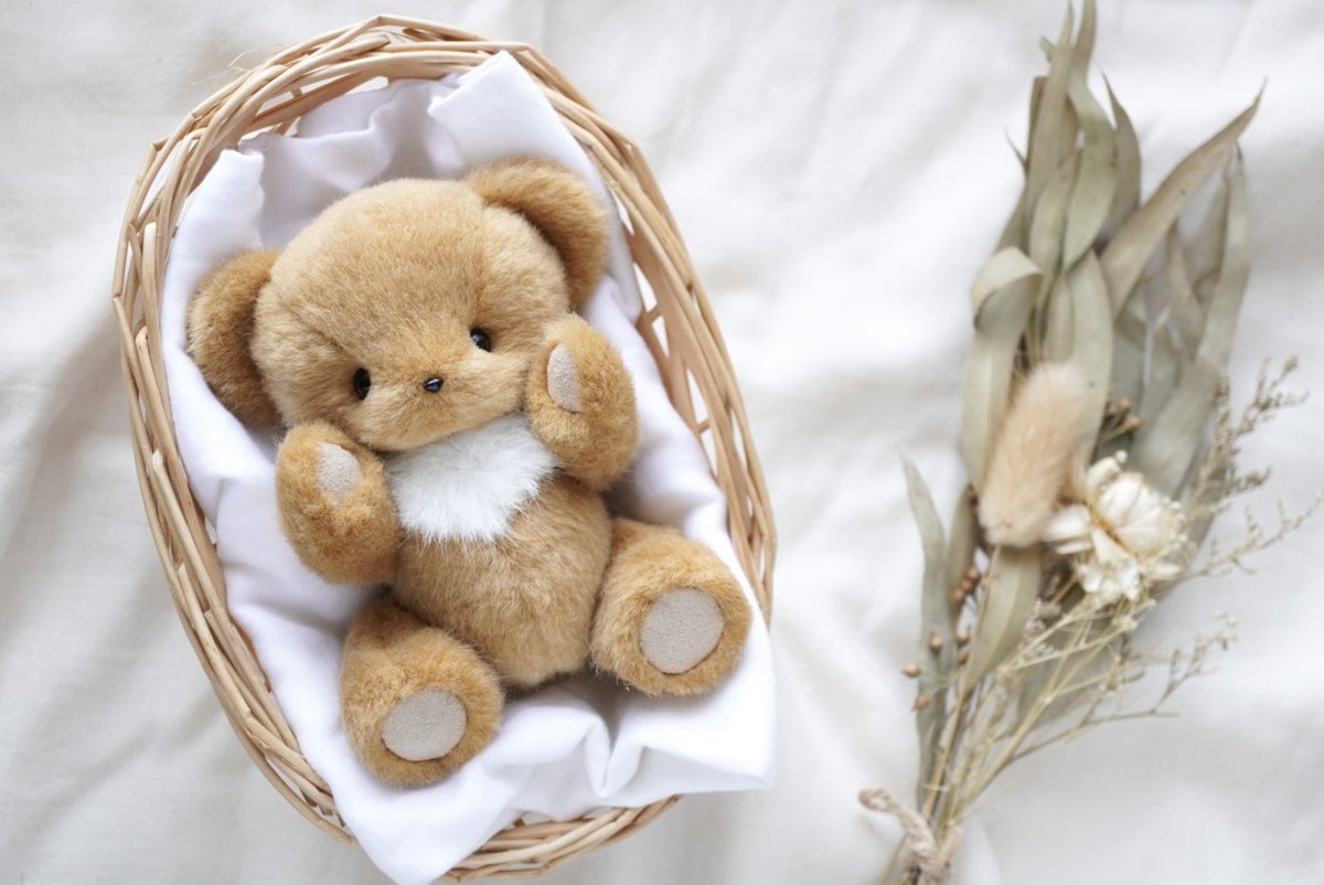 はす (@hasunokuma) / Posts / X