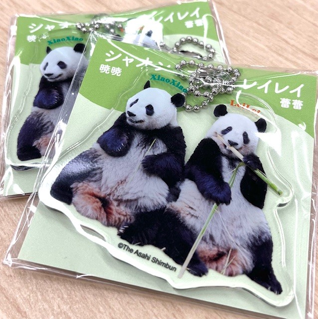 こんばんは。 『いつまでもなかよし シャオシャオとレイレイ』の