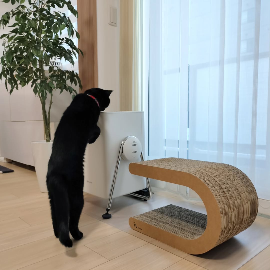 動物と暮らすおうちにぴったりな空気清浄機が気になる方は