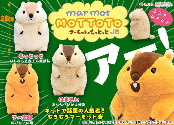 続報！ ／ マーモットのむっちり 完 全 再 現 2 今、超話題の