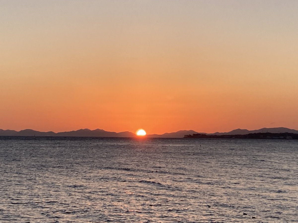 🧸岩崎紗妃🧸 (@yuzuchocobear) / Posts / X