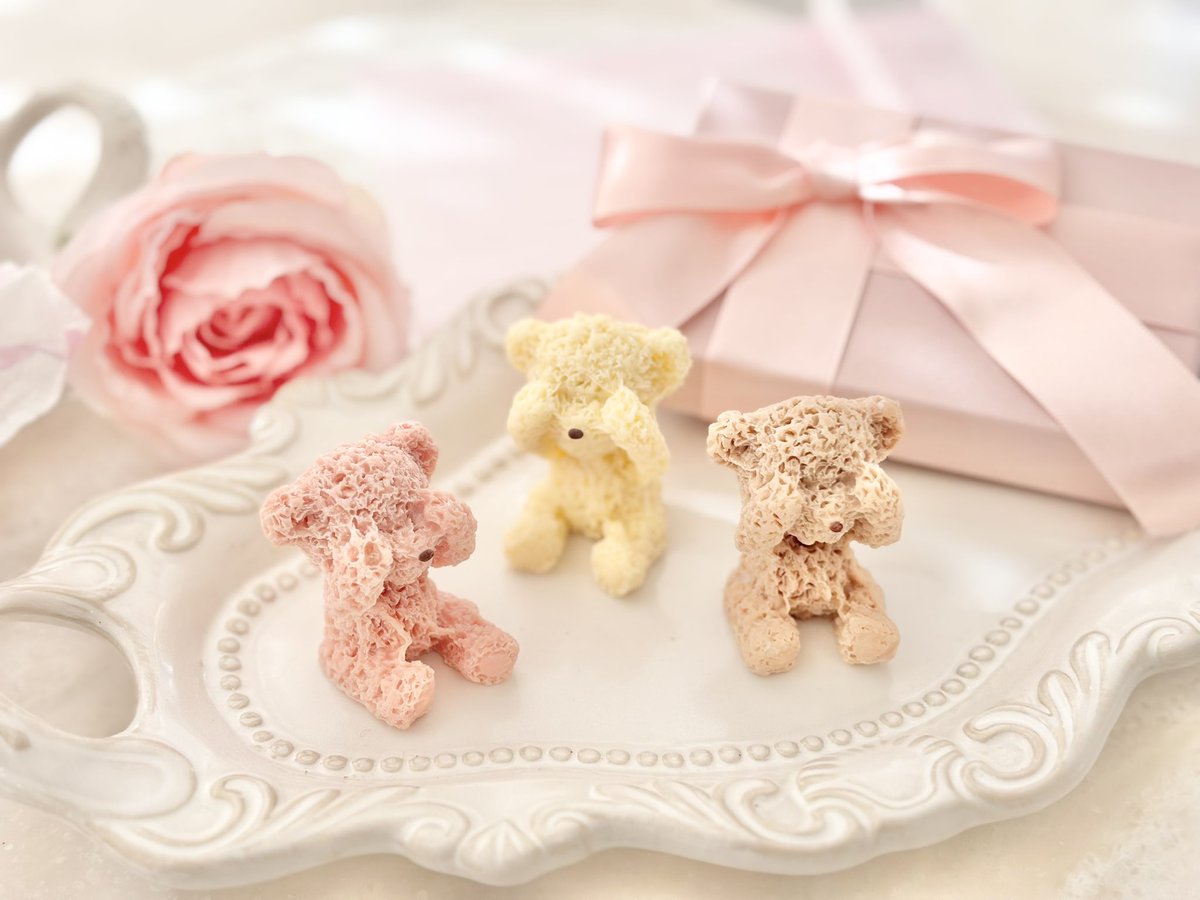 ∮ 🤍🪞🤍🪞🤍🪞🤍🪞 🤍🪞🤍🪞🤍 本日から発売スタート∮🪞 限定100個