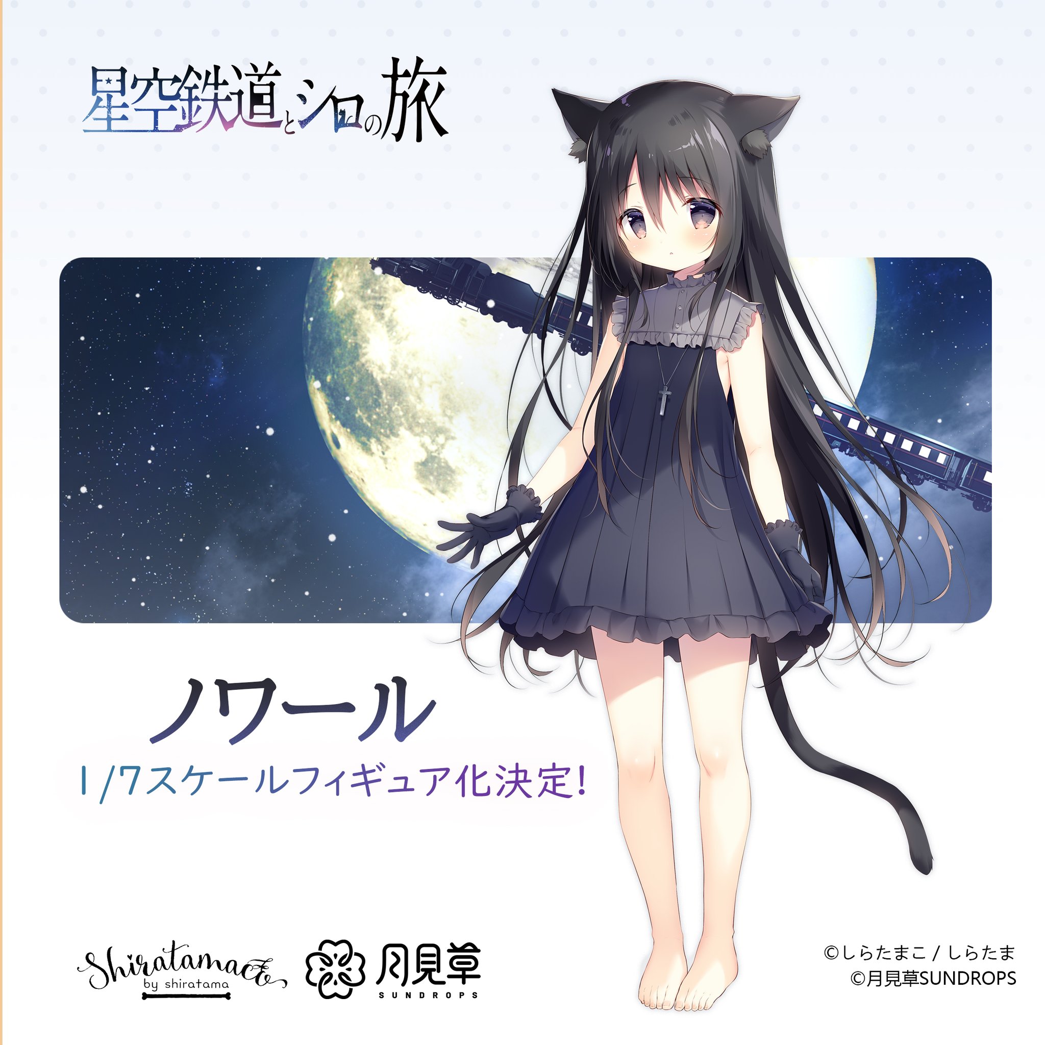 しらたま 星空鉄道とシロの旅 板上サイン入り 額装 ミニアートグラフ