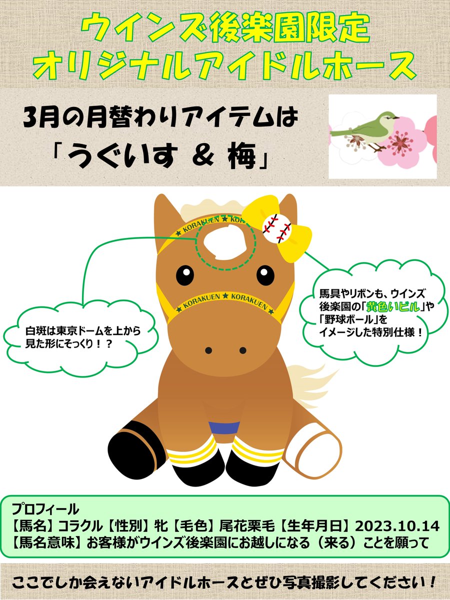 この度、ウインズ後楽園オリジナルアイドルホースの馬名が決定いたし