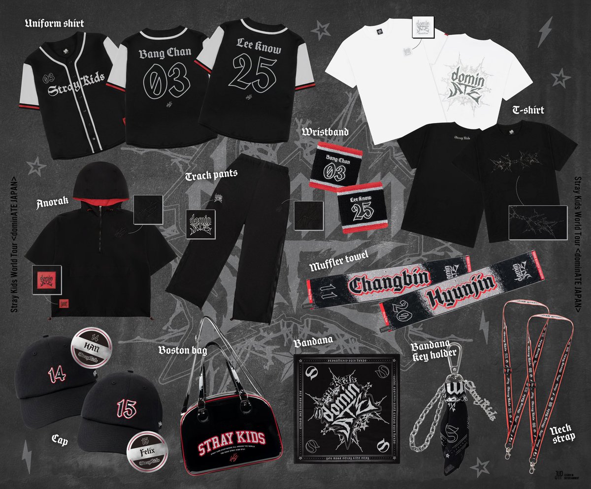 StrayKids スキズ エコパ 会場限定 トレカ 17日 コンプセット Stray Kids World Tour <dominATE JAPAN>」 静岡エコパスタジアム公演